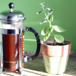 How To Effectively Use A Coffee Press for the Best Brew