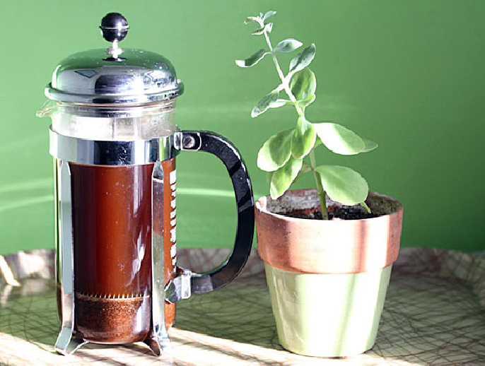 How To Effectively Use A Coffee Press for the Best Brew