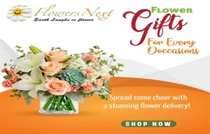 Sending Affordable Blooms